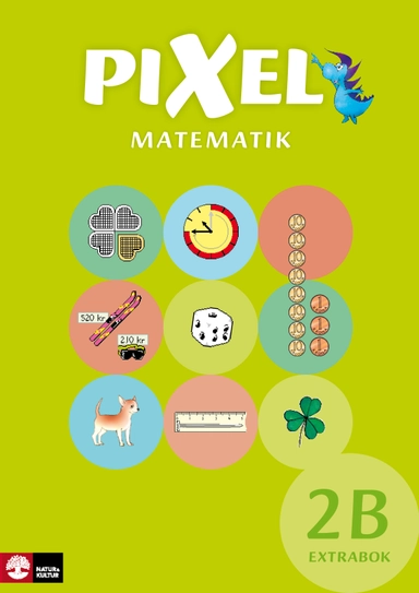 Pixel 2B Extrabok