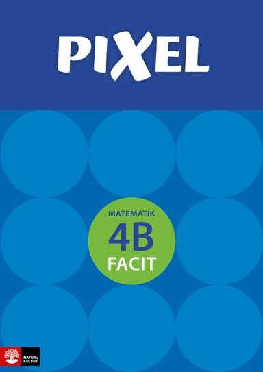 Pixel 4B Facit