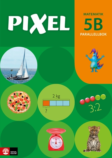 Pixel 5B Parallellbok