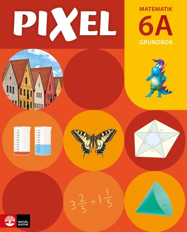 Pixel 6B Lärarbok