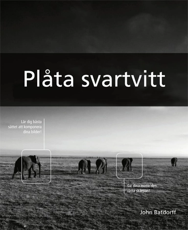 Plåta svartvitt; John Batdorff; 2012