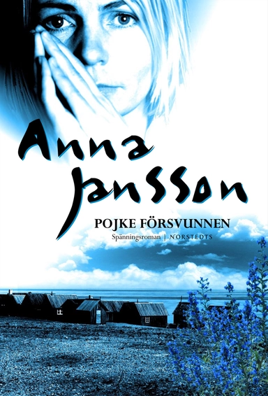 Pojke försvunnen