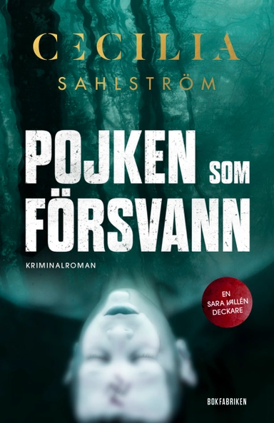 Pojken som försvann; Cecilia Sahlström; 2019