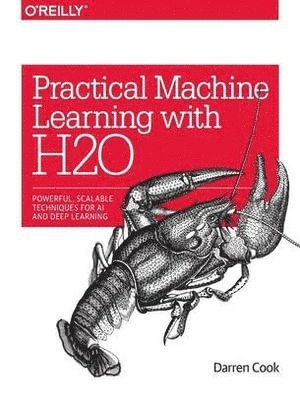 Practical Machine Learning with H2O; Darren Cook; 2016