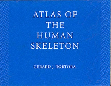 Principles of anatomy and physiology
