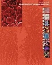 Principles of Human Anatomy; Gerard J. Tortora; 2004