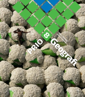 PRIO Geografi Grundbok 8
