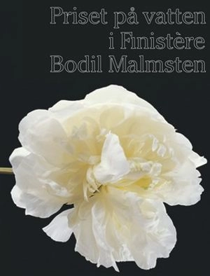 Priset på vatten i Finistère; Bodil Malmsten; 2001