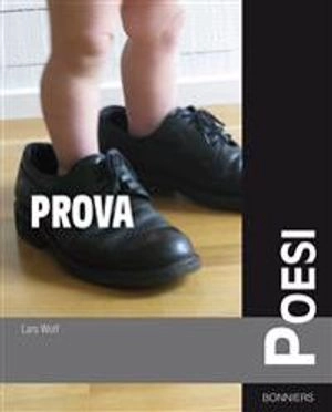 Prova poesi