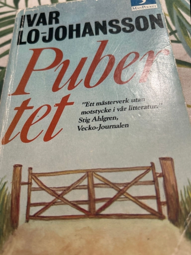 Pubertet; Ivar Lo-Johansson; 1981