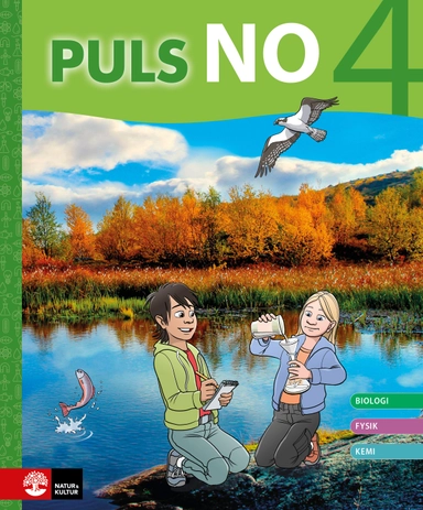 PULS NO åk 4 Grundbok