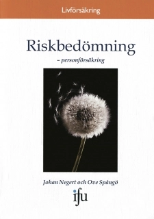 Riskbedömning : personförsäkring