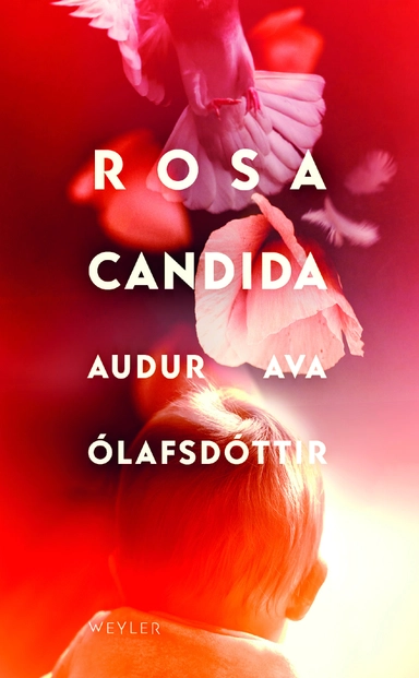 Rosa candida; Audur Ava Ólafsdottir; 2019
