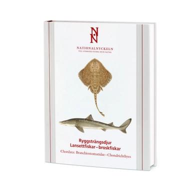 Ryggsträngsdjur : lansettfiskar - broskfiskar. Chordata : branchiostomatidae - chondrichthyes; Sven O. Kullander, Thomas Stach, Hans G. Hansson, Bo Delling, Henning Blom; 2011