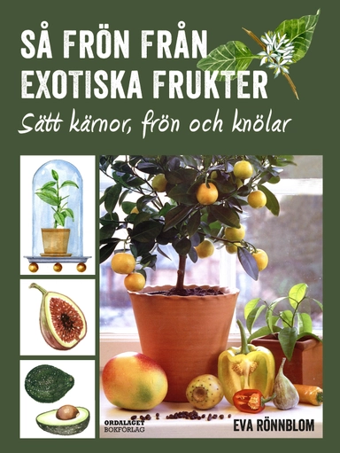 Så frön från exotiska frukter - sätt kärnor, frön och knölar; Eva Rönnblom; 2016