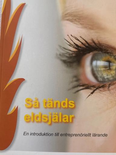 Så tänds eldsjälar : en introduktion till entreprenöriellt lärande; Christer Westlund, Marielle Peterson; 2008