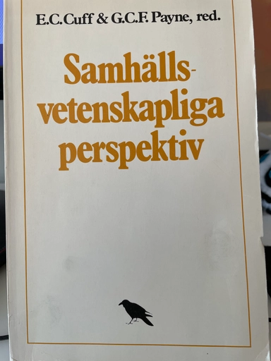 Samhällsvetenskapliga perspektiv