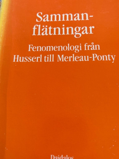 Sammanflätningar : fenomenologi från Husserl till Merleau-Ponty