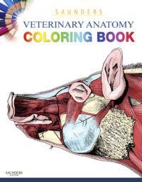 Saunders Veterinary Anatomy Coloring Book; 2010