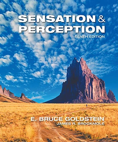 Sensation and perception