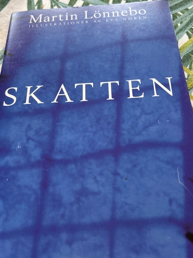 Skatten : minsta träningsboken för själen; Martin Lönnebo, Eva Norén; 1999