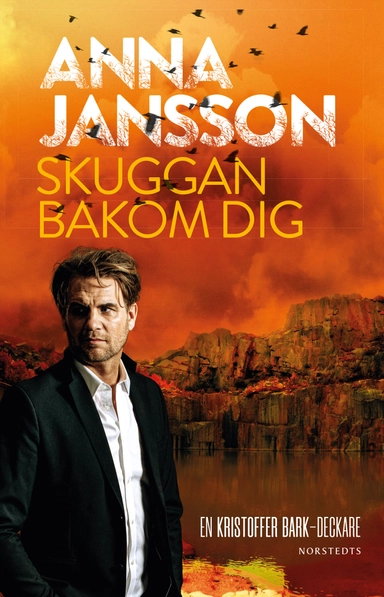 Skuggan bakom dig; Anna Jansson; 2021