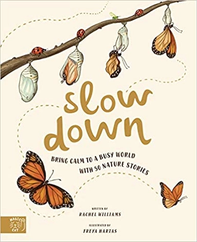 Slow Down; Rachel Williams; 2020