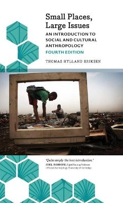 Small places, large issues : an introduction to social and cultural anthropology
