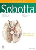 Sobotta atlas of anatomy · Vol. 3 · Head, neck and neuroanatomy