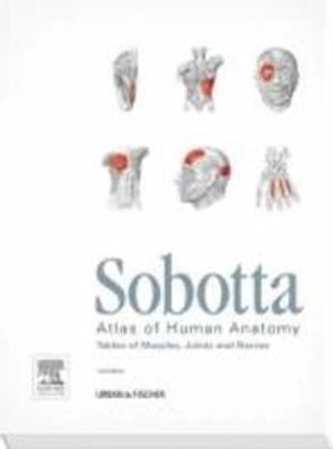 Sobotta atlas of human anatomy : tables of muscles, joints, and nerves