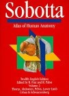 Sobotta Atlas of human anatomy Vol. 2.; Urban & Schwarzenberg; 1994