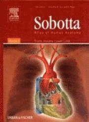 Sobotta atlas of human anatomy · Vol. 2 · Trunk, viscera, Lower Limb