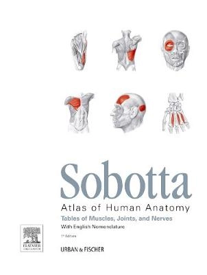 Sobotta Tables of Muscles, Joints and Nerves, English Tables to 15th ed. of the Sobotta Atlas 