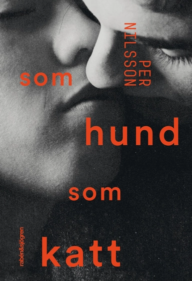 Som hund som katt; Per Nilsson; 2016