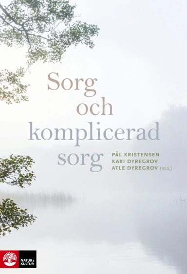 Sorg och komplicerad sorg