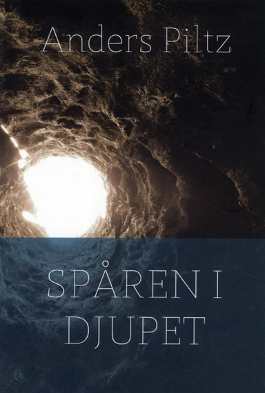 Spåren i djupet : om det gudomliga ordets makt; Anders Piltz; 2012