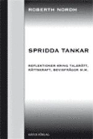 Spridda tankar : reflektioner kring talerätt, rättskraft, bevisfrågor m.m.