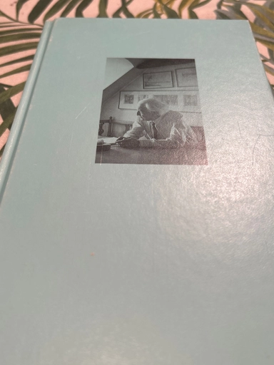 Stad i världen : roman