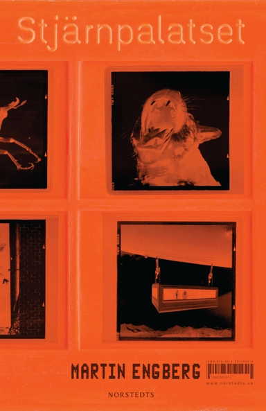 Stjärnpalatset; Martin Engberg; 2010