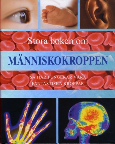 Stora boken om människokroppen : så här fungerar våra fantastiska kroppar