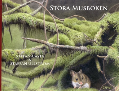 Stora musboken