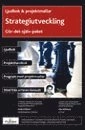 Strategiutveckling : Gör-det-själv-paket med ljudbok och projektmallar; Tobias Pernvik; 2007