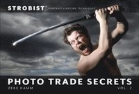 Strobist Photo Trade Secrets, Volume 2