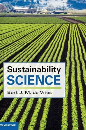 Sustainability science; Vries; 2013