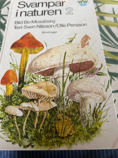 Svampar i naturen · 2 · Skivlingar