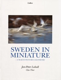 Sweden in miniature