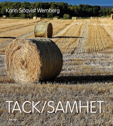 Tack/samhet; Karin Sjöqvist Wernberg; 2020