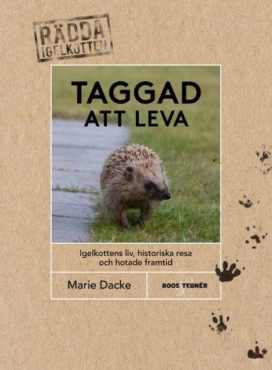 Taggad att leva : igelkottens liv, historiska resa och hotade framtid; Marie Dacke; 2021