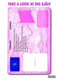 Take a look at dig själv; Lena Liljegren Victorin; 2008