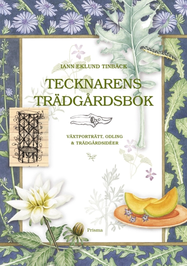 Tecknarens trädgårdsbok : Växtporträtt, odling & trädgårdsidéer; Iann Eklund Tinbäck; 2002